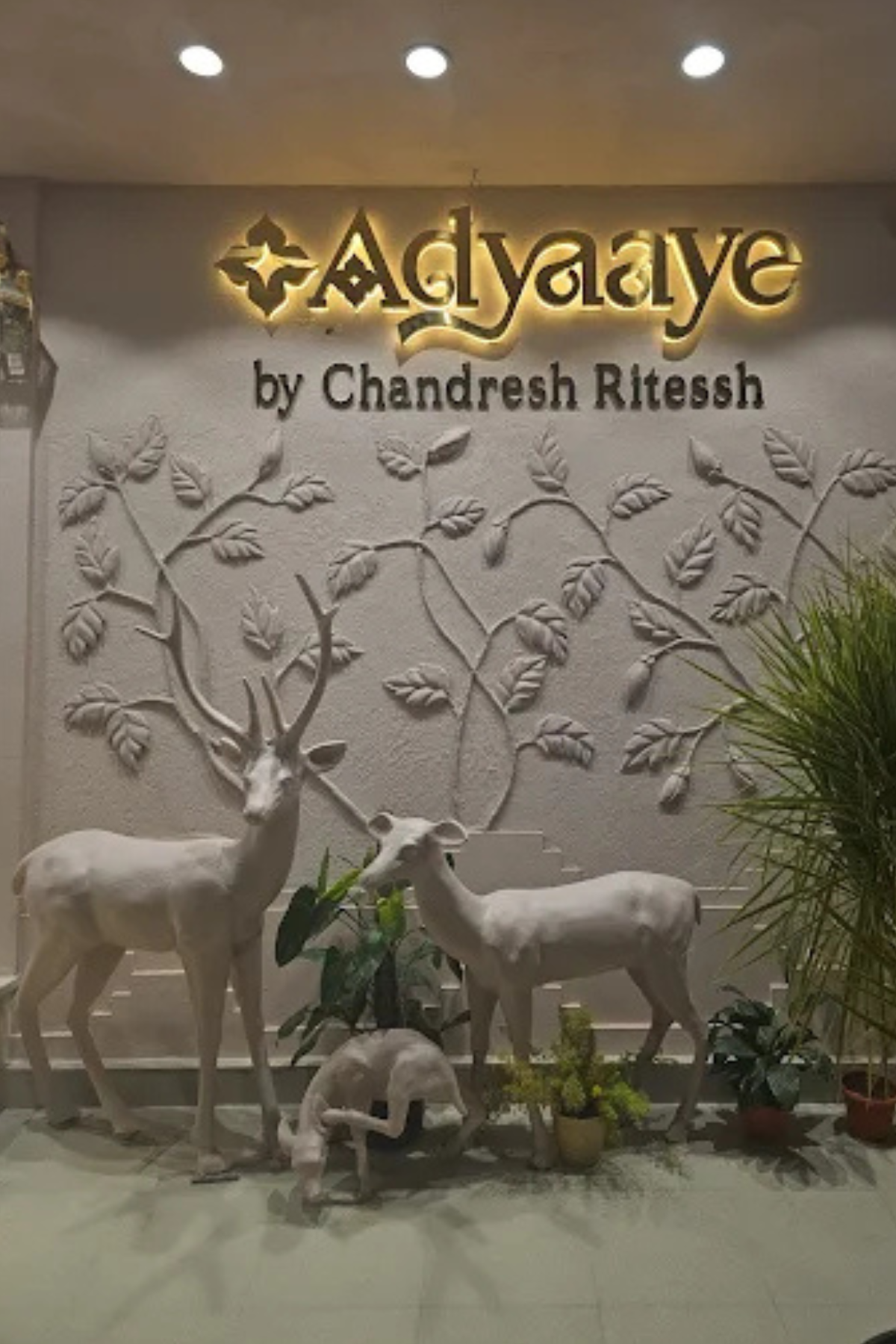 A Space That Reflects Style: Inside the Adyaaye Store
